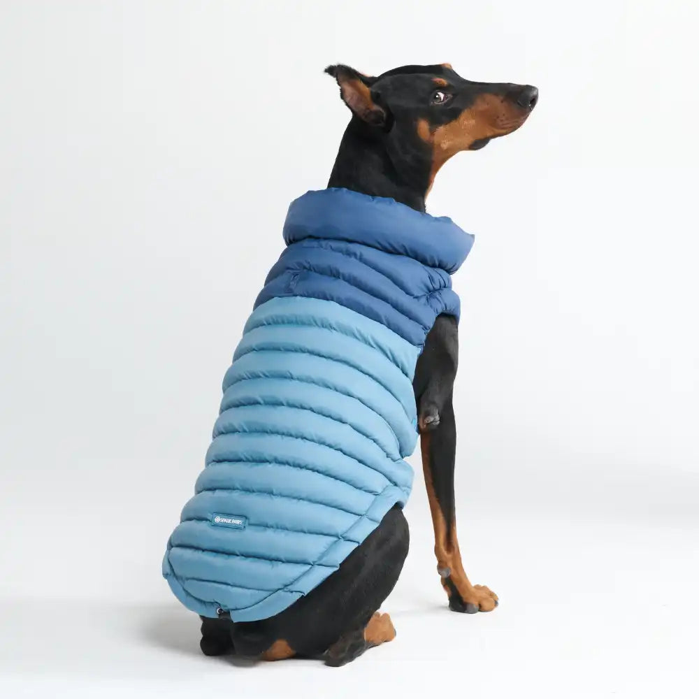 PuffShield Winter Jackets
