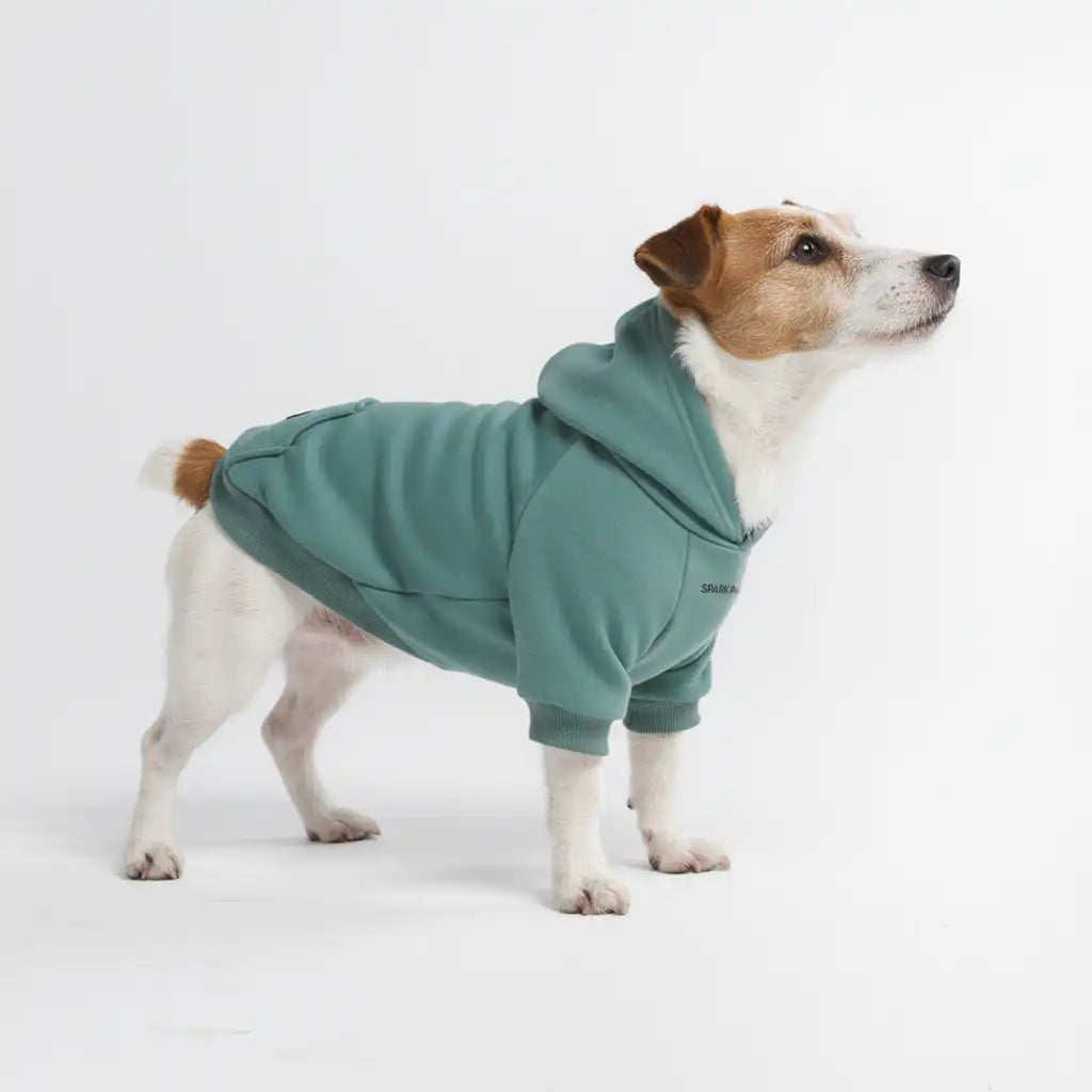 Essential Dog Hoodies