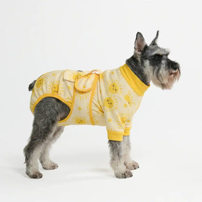 Dog Surgical Suit