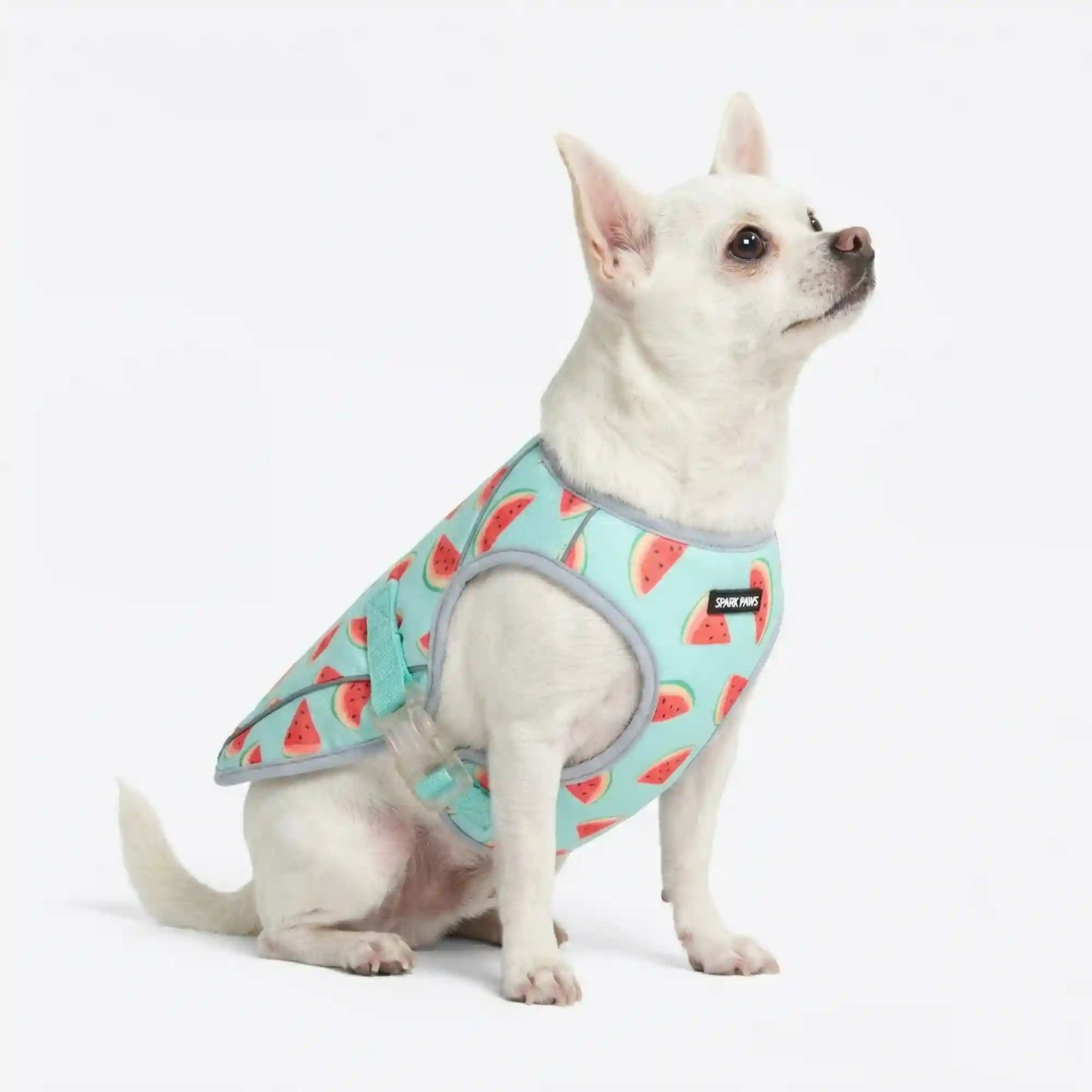 Chilltech™ Dog Cooling Vests