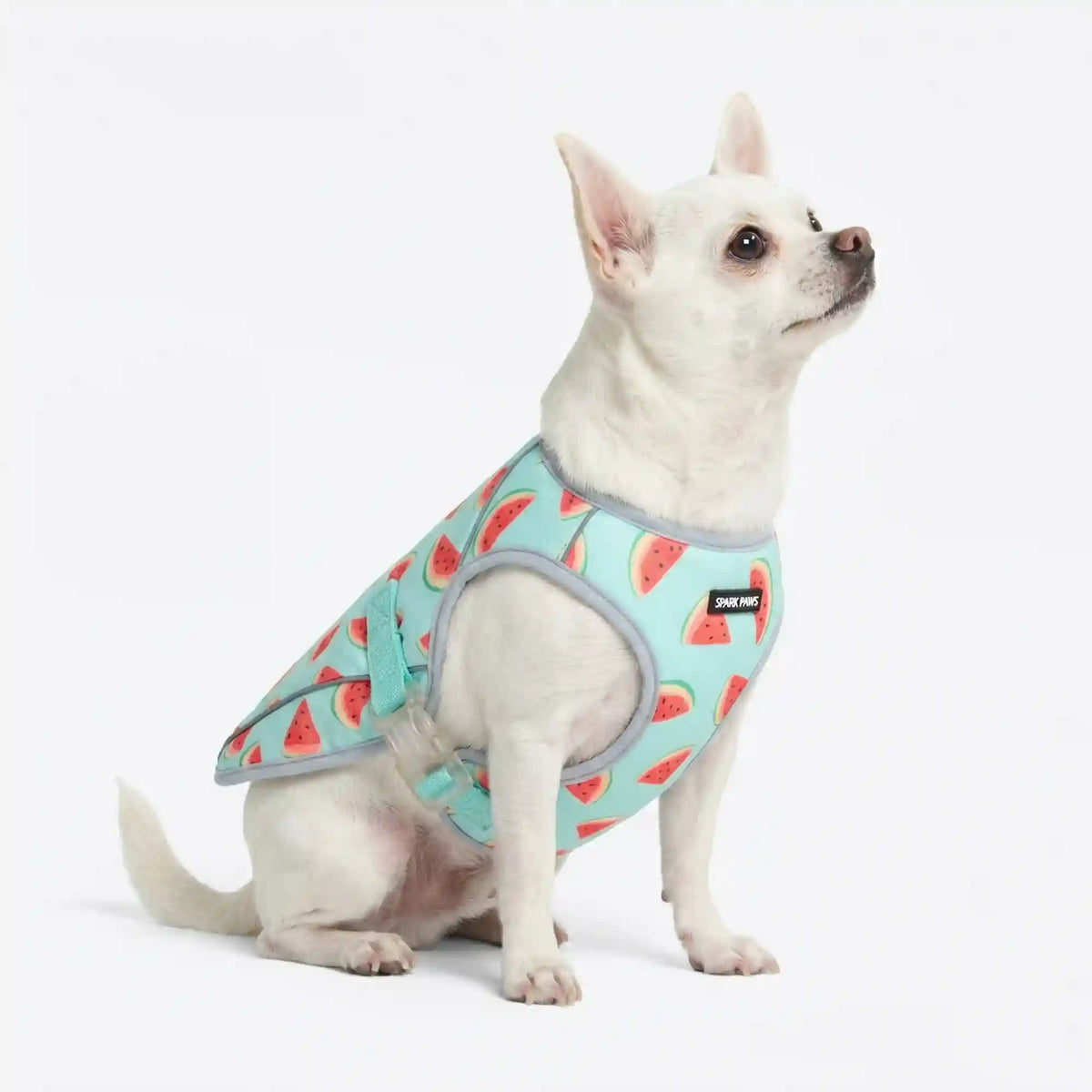 Dog Cooling Vest - Watermelon (2)