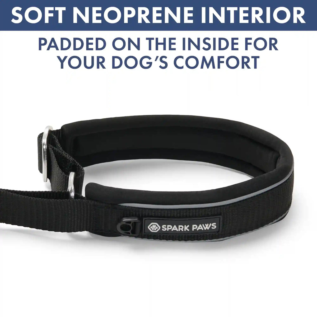 Martingale Collar Set - Black