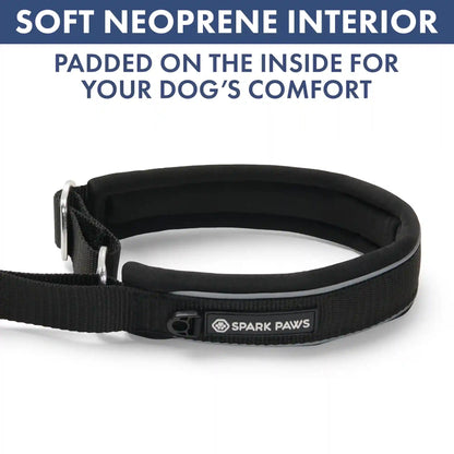 Martingale Collar Set - Black