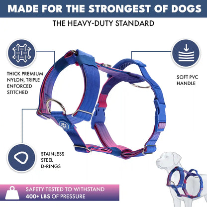 Comfort Control No-Pull Dog Harnesses