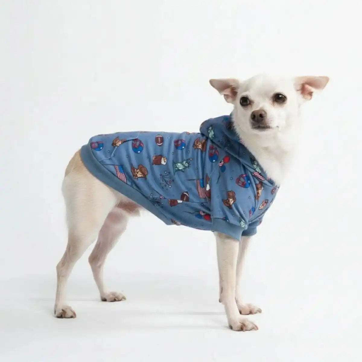 Around the World Dog Hoodies