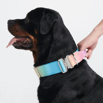 Comfort Control Dog Collars