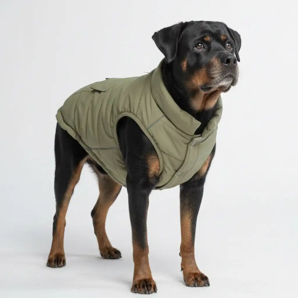 WarmShield Water-Resistant Jackets