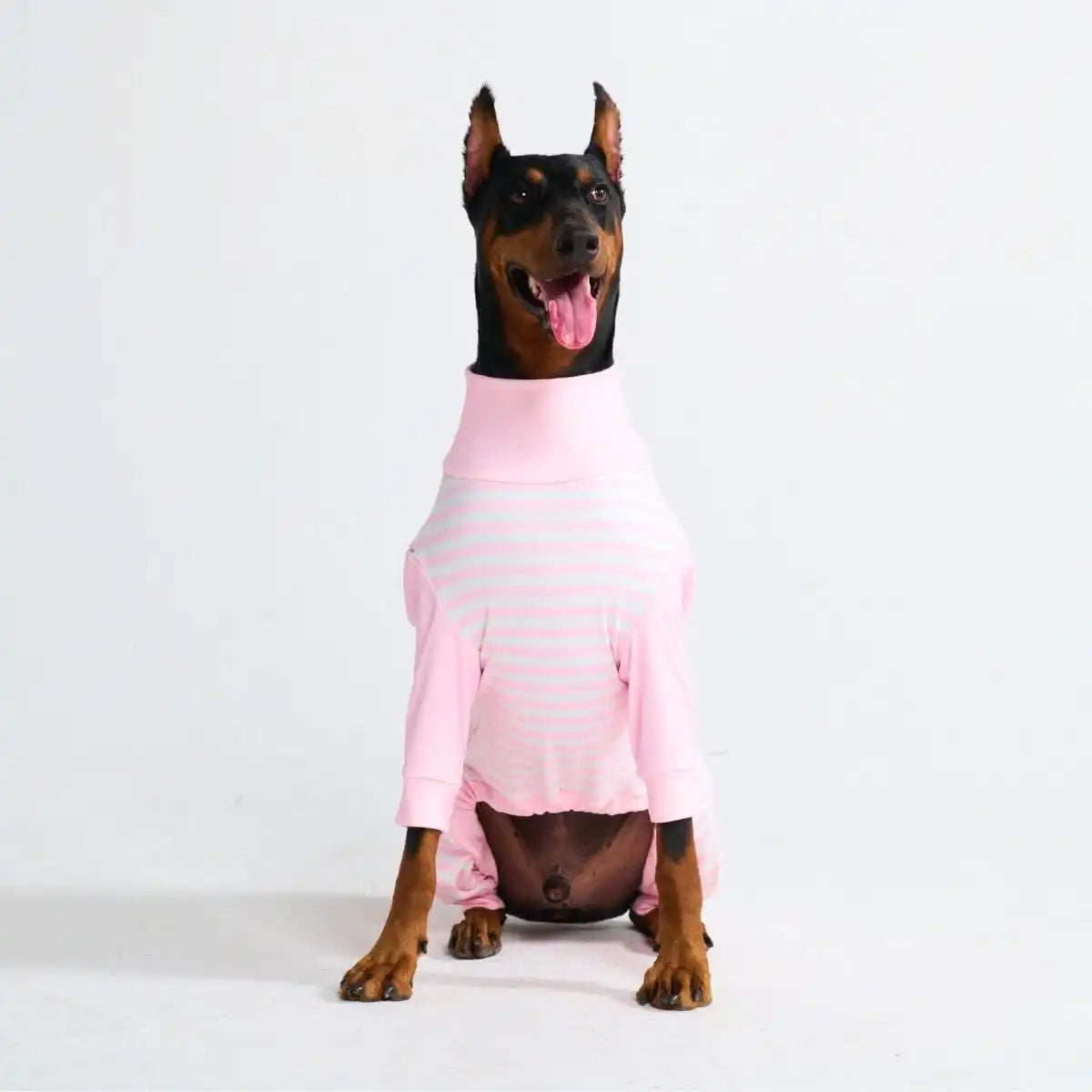 Dog Pajama Prints