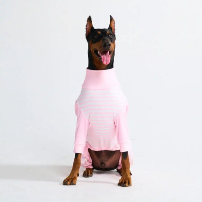 Dog Pajama Prints