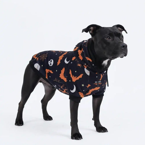 Halloween Dog Hoodie - Black