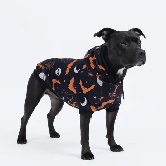 Halloween Dog Hoodie - Black