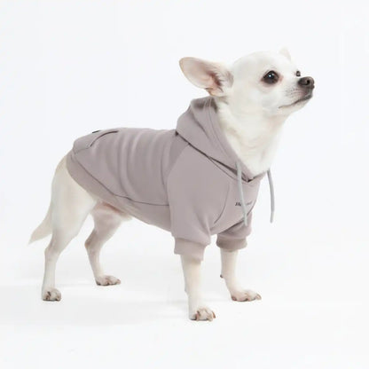 Essential Dog Hoodies