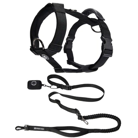 Comfort Control No-Pull Dog Harness and Multipurpose Leash Set - Black