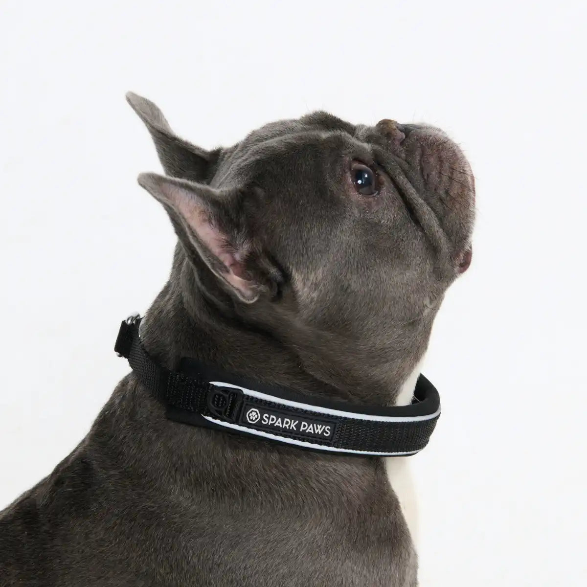 Cushioned Martingale Collars