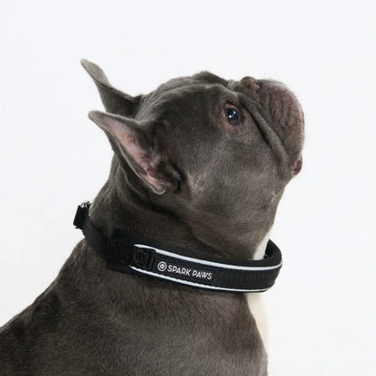Cushioned Martingale Collars
