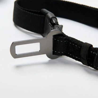 Multipurpose Seatbelt Handsfree Leash & Poop Bag Holder Set - Black