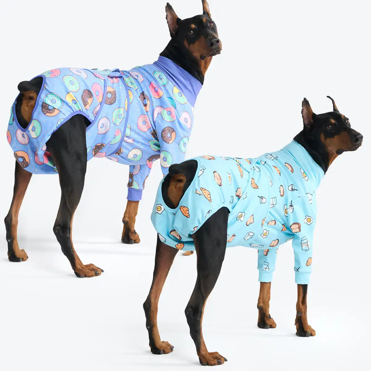Dog Surgical Suit  2-pack