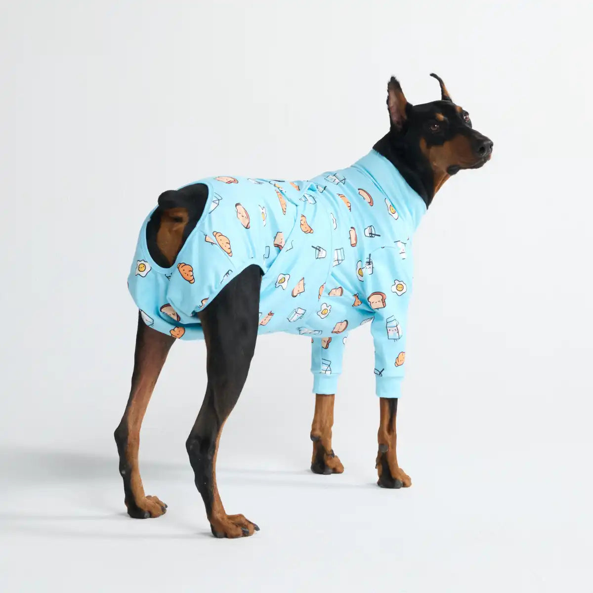 Dog Surgical Suit