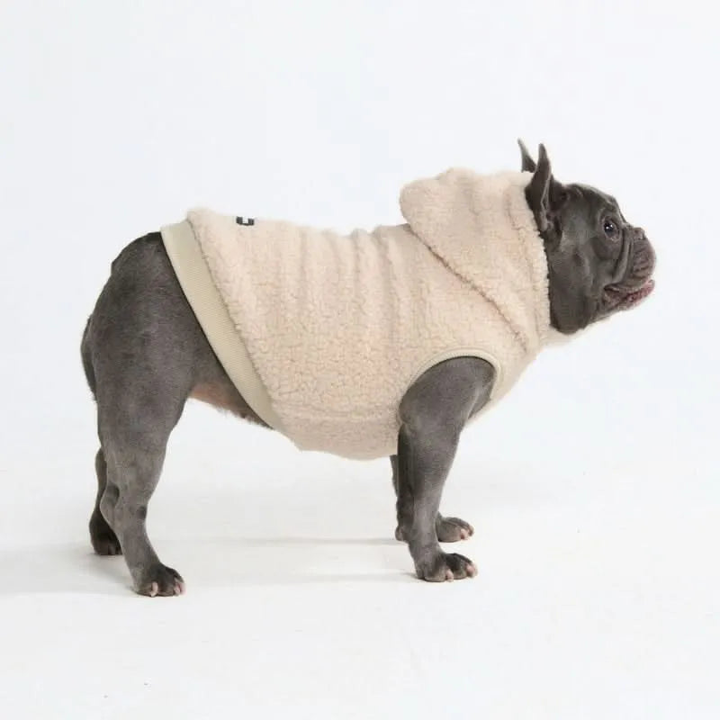 Teddy Sherpa Dog Jackets