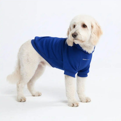 Essential Dog Hoodies