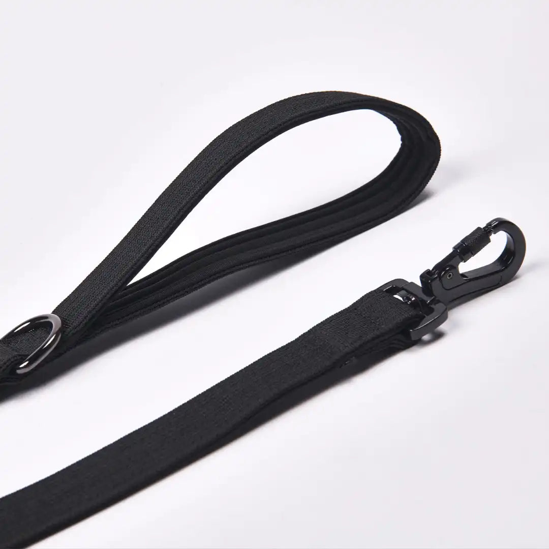 Leash and Poop Bag Holder Set