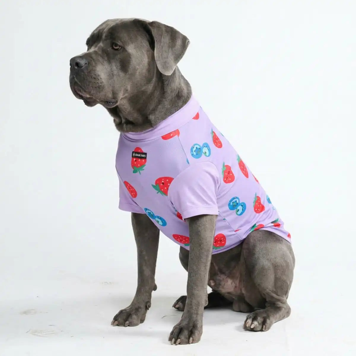 Sunblock Dog T-Shirt - Prints