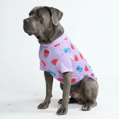 Sunblock Dog T-Shirt - Berries