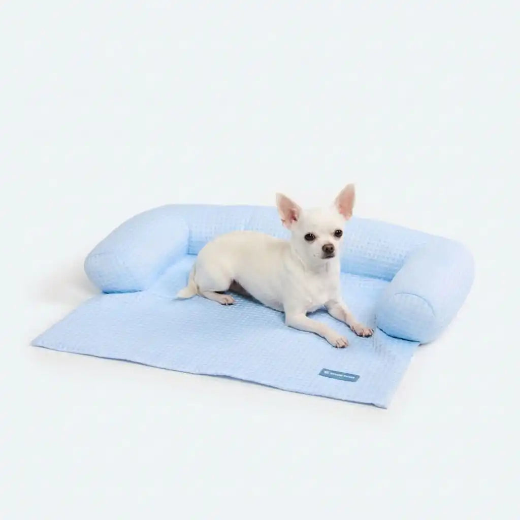 Frostcore™ Cooling Couch Cover Dog Bed