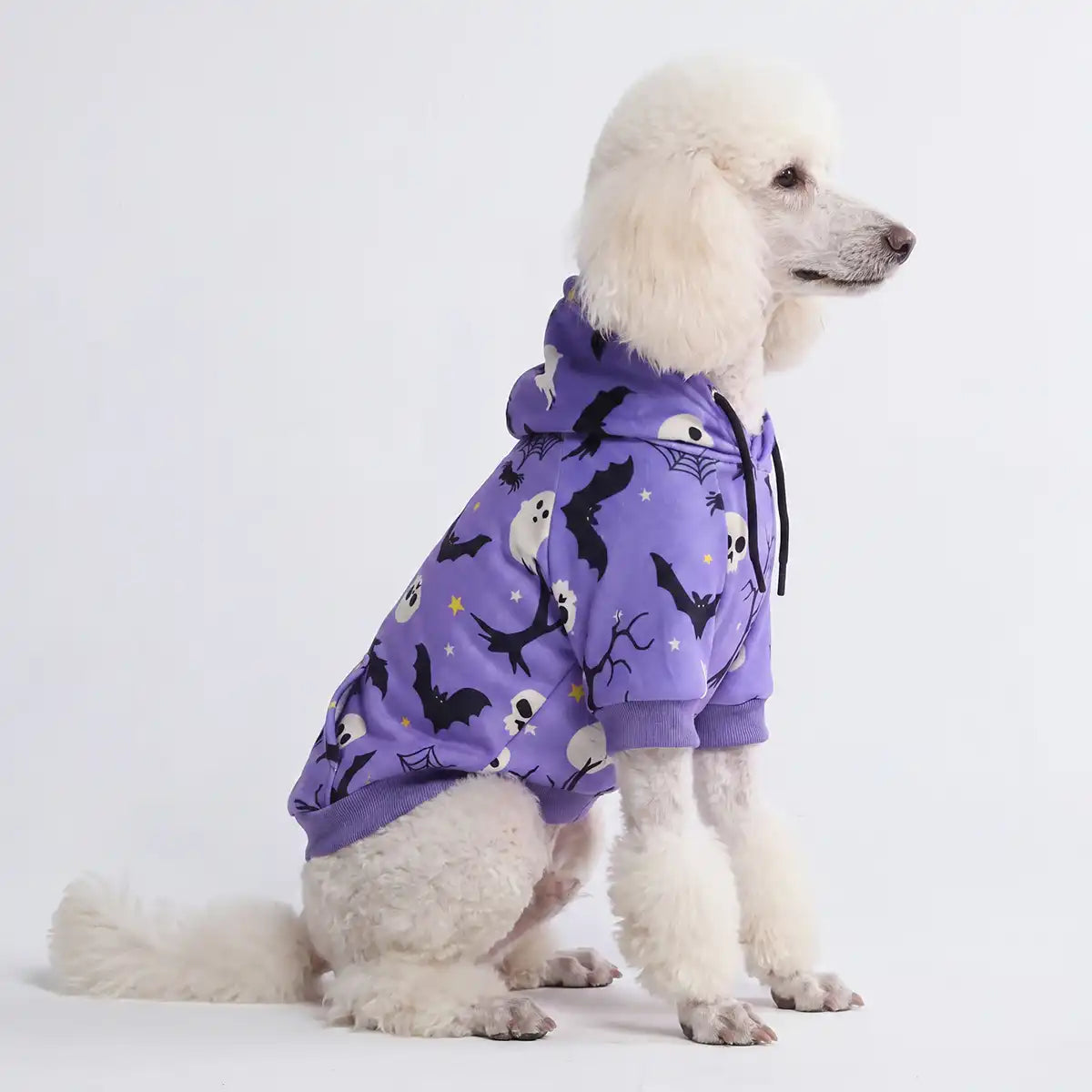 Halloween Dog Hoodies (Limited Edition)