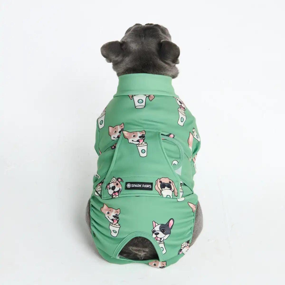 Dog Surgical Suit