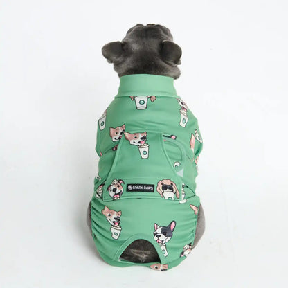 Dog Surgical Suit