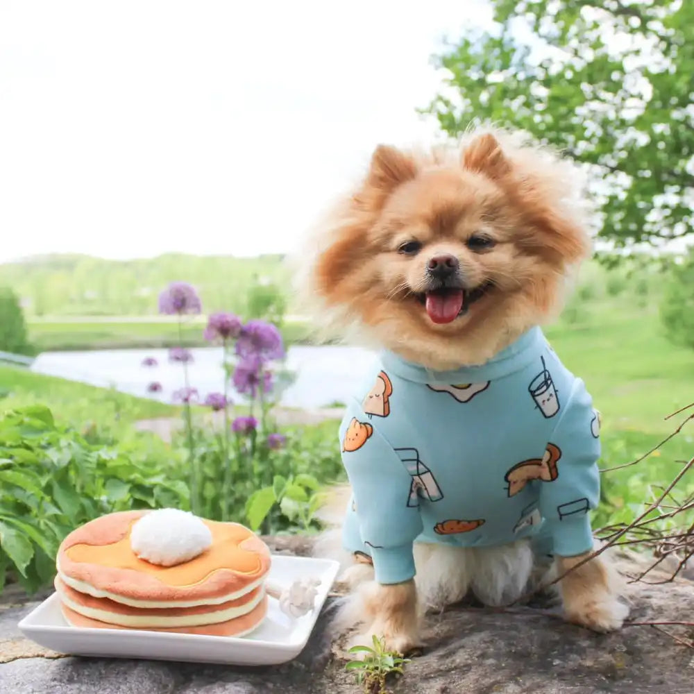 Dog Pajama Prints
