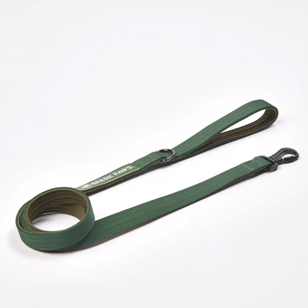 Leash and Poop Bag Holder Set