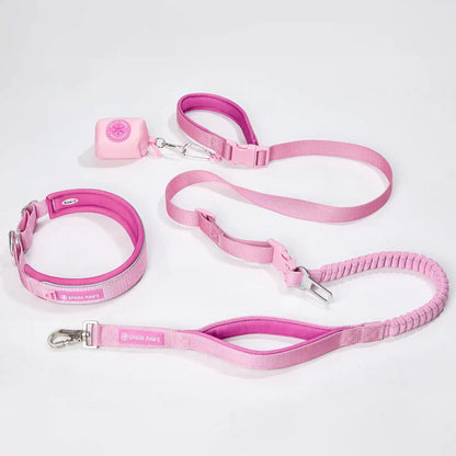 Martingale Collar and Multipurpose Leash Set - Pink