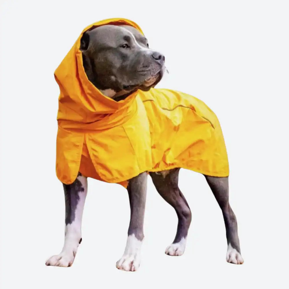 Breatheshield™ Dog Raincoat (Multi-Color)