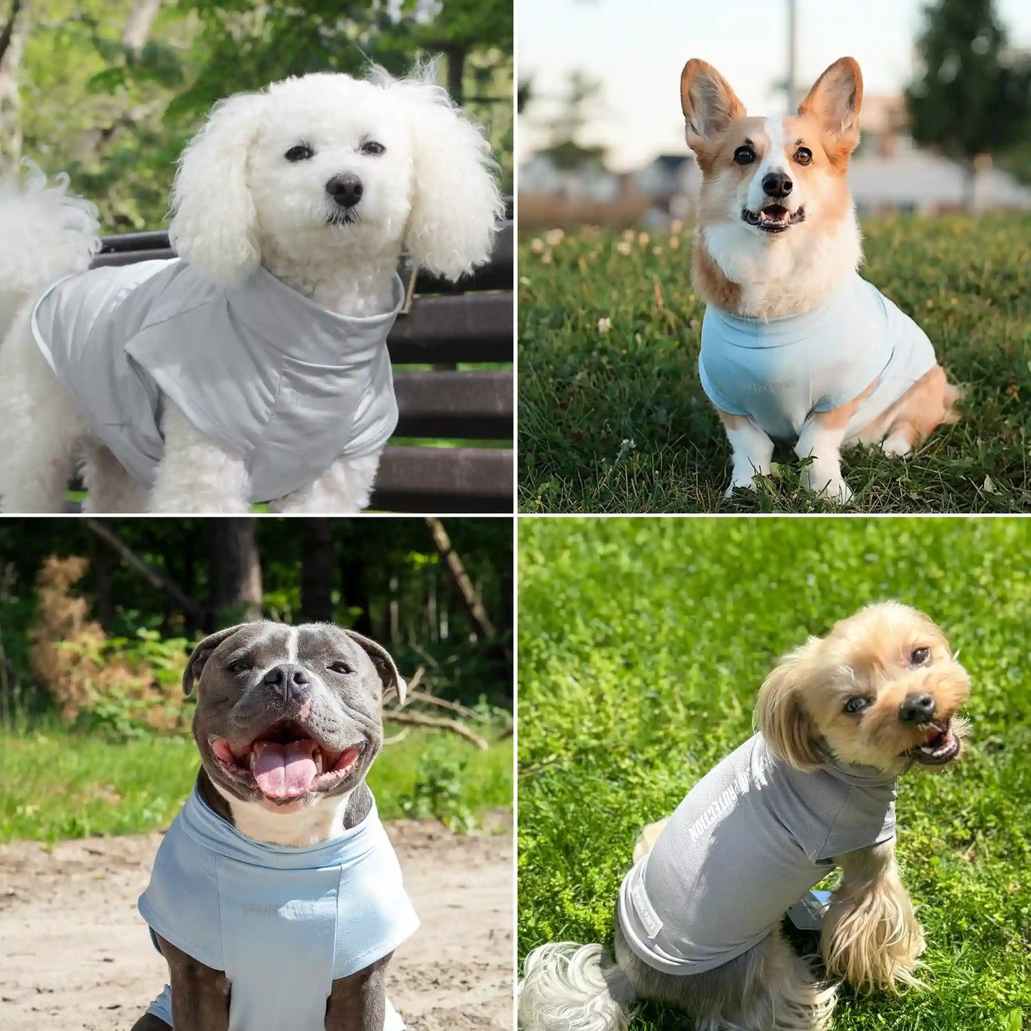 Sunblock Dog T-Shirt (2-pack) - Blue Grey