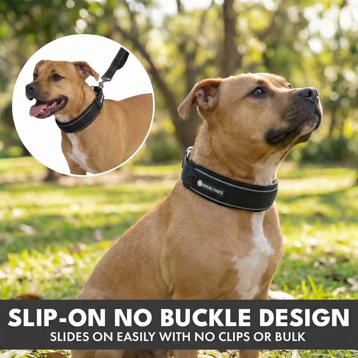 Martingale Collar Sets