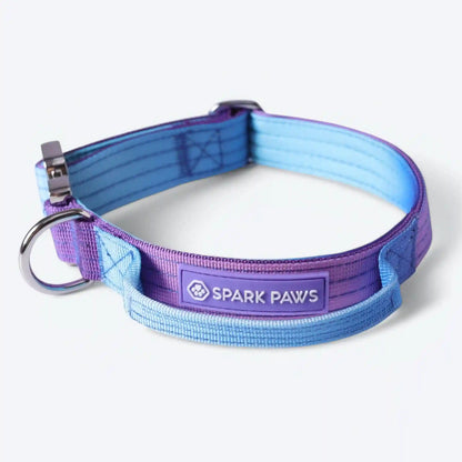 Comfort Control Dog Collars