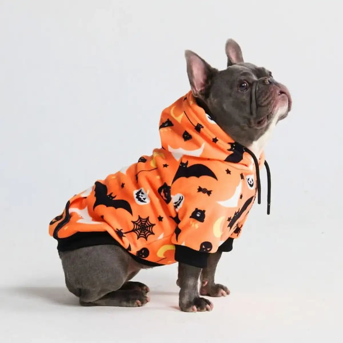 Halloween Dog Hoodie - Orange (2)