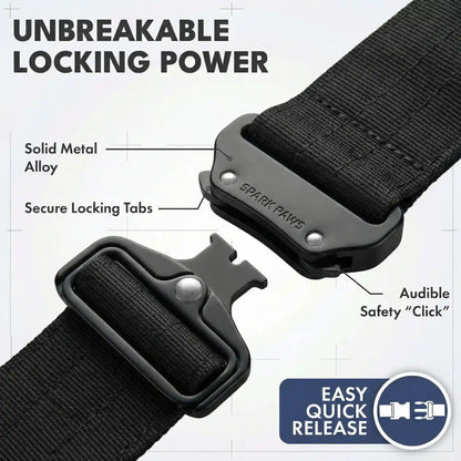 Comfort Control Collar and Multipurpose Leash Set - Black
