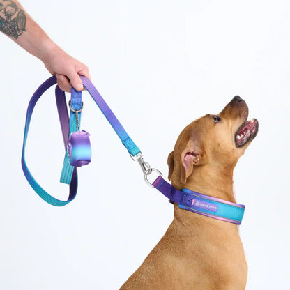 Cushioned Martingale Collars