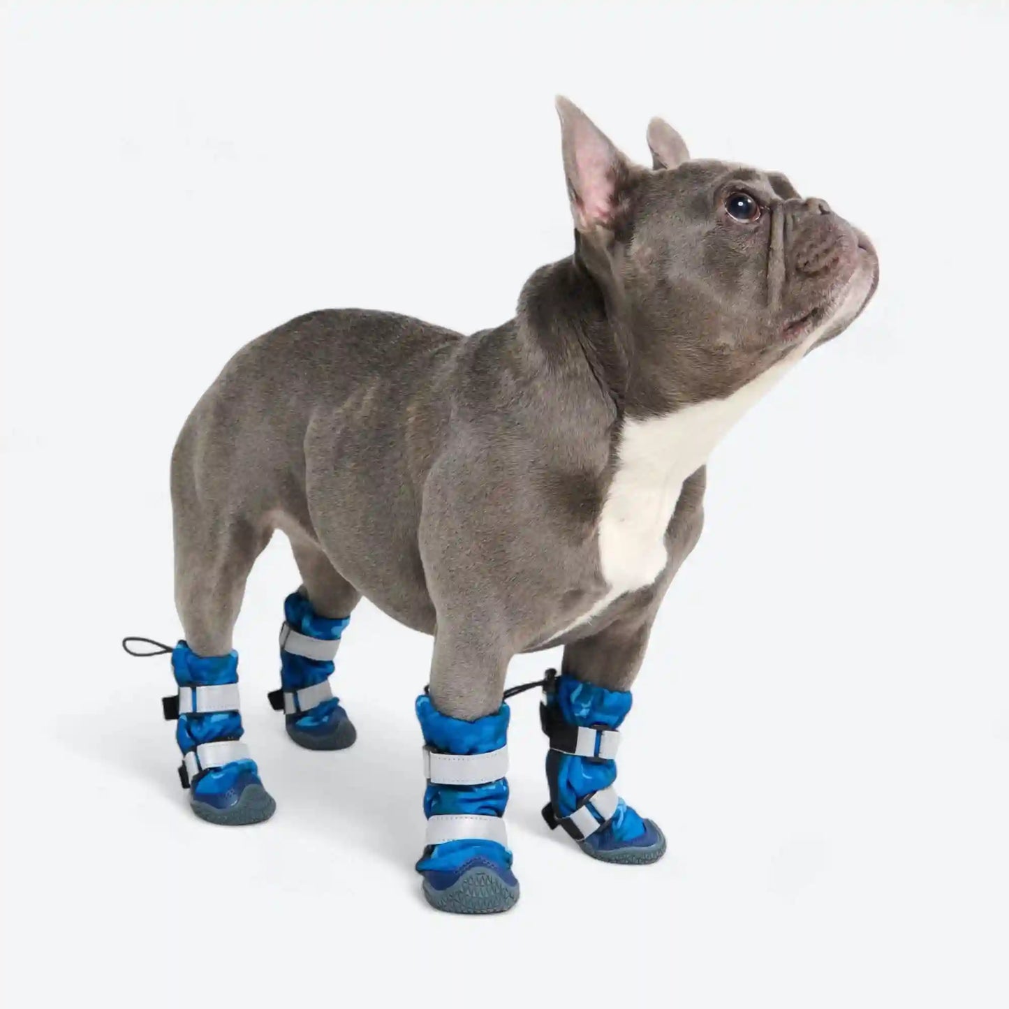 Dog Rainboots, Waterproof Dog Shoes