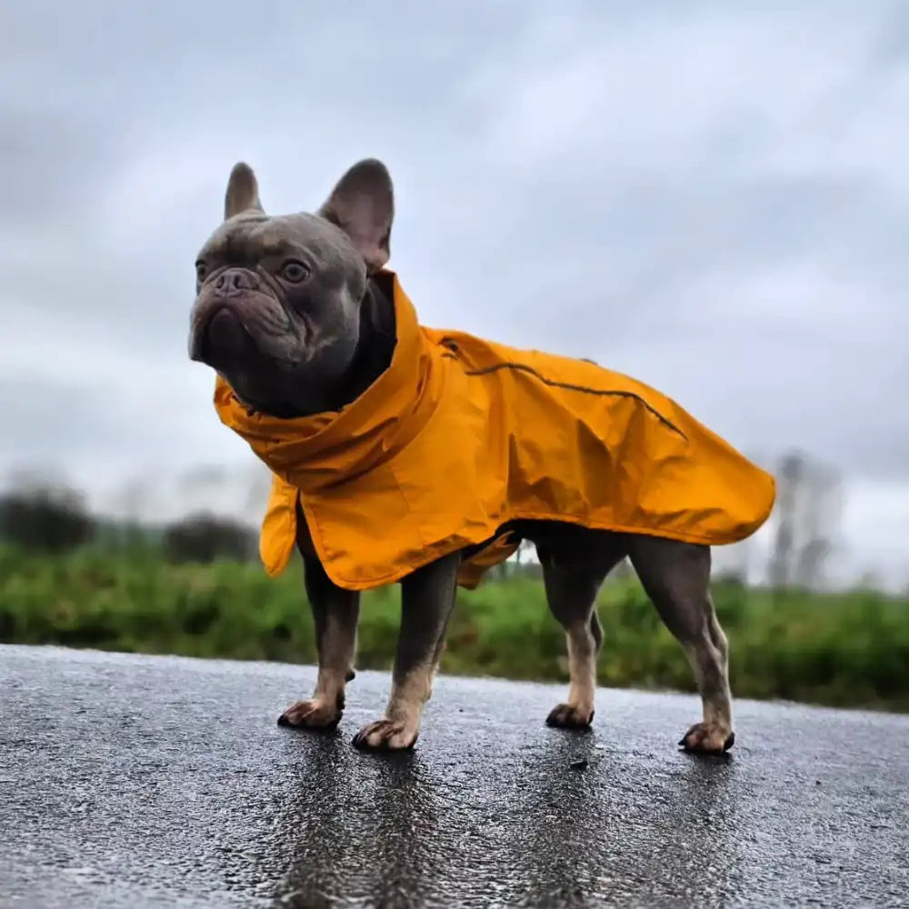Breatheshield™ Dog Raincoat - Mustard Yellow