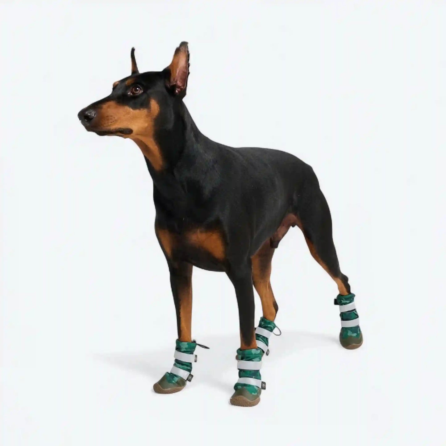 Dog Rainboots, Waterproof Dog Shoes