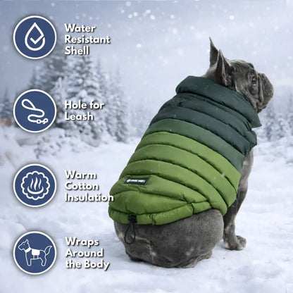 PuffShield Winter Jacket - Green