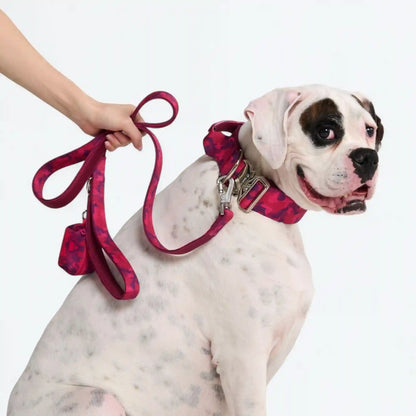 Comfort Control Dog Collars