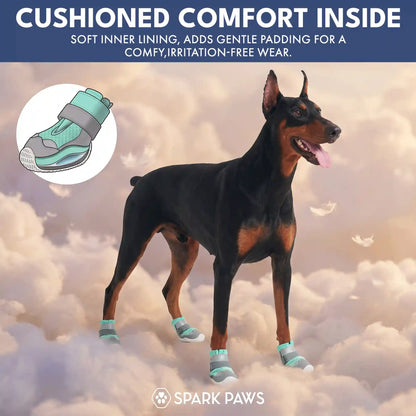 Hot Pavement Pawtector Dog Shoes - Teal