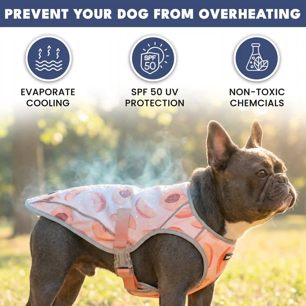Dog Cooling Vest - Peaches