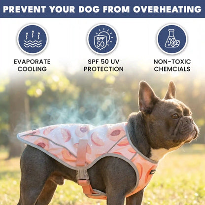 Dog Cooling Vest - Peaches