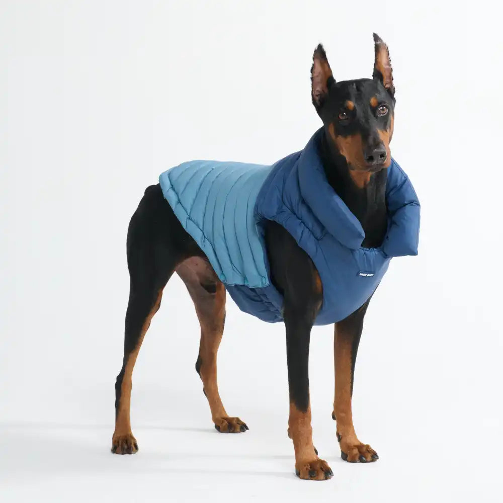 PuffShield Winter Jacket - Blue